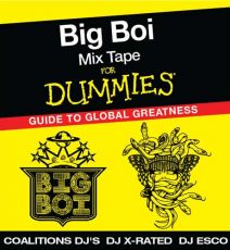Big Boi - Mixtape For Dummies: A Guide To Global Greatness